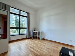 The Spinnaker (D11), Apartment #548424671
